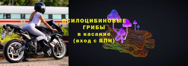 МДМА Богородицк